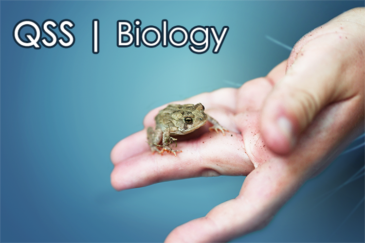 qss-biology-image