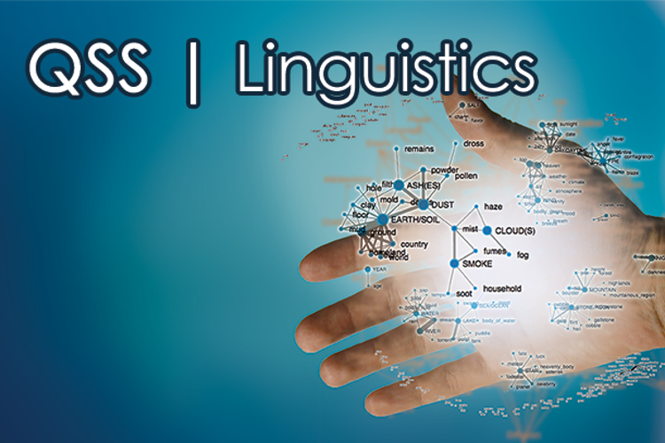qss-linguistics-image